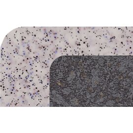 Versa Tablett Polyester titanfarben Granit-Optik rechteckig | 530 mm  x 325 mm Produktbild