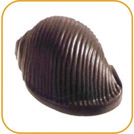 Pralinenform  • Schnecke | 18 Mulden | Muldenmaß 42 x 32 x H 19 mm  L 275 mm  B 135 mm Produktbild