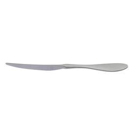 Menümesser TERRA RETRO stehend Vollheft L 239 mm Produktbild