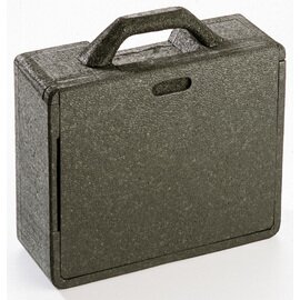 Box HOT & COOL schwarz  | 460 mm  x 420 mm  H 290 mm Produktbild