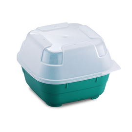 Menüschalenset GOODBOWL Tiny XL Mehrweg PP grün 550 ml | 5 Schalen | 5 Deckel Produktbild