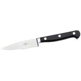 Spickmesser | Officemesser glatter Schliff  | Griff vernietet | verschweißt Klingenlänge 10 cm  L 21 cm Produktbild