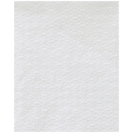 Spenderservietten Papier Spenderfalz • weiß 240 mm x 300 mm Produktbild
