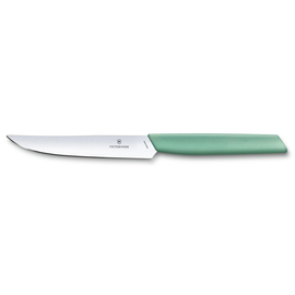 Steakmesser SWISS MODERN | Klingenlänge 12 cm Mint-green Produktbild