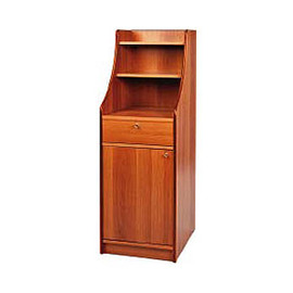 Serviceschrank 450 mm  x 490 mm  H 1440 mm mit 1 Schublade mit Flügeltür Produktbild