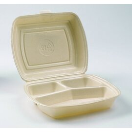Menüboxen Einweg beige geschäumt 230 mm  x 190 mm 2 Fächer Produktbild