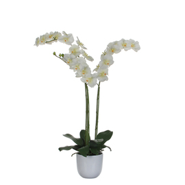 Kunstblume Nachtfalter-Orchidee weiß mit Übertopf H 1000 mm Produktbild