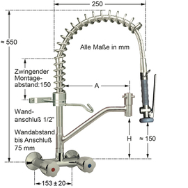 Vorspülbrause 1/2" Wandarmatur Zweigriffmischer H 550 mm Produktbild 1 S