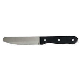 Steakmesser POM L 250 mm Produktbild