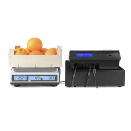 Preisrechenwaage RPB 6K1DM eichfähig | Wiegebereich bis 3 kg | 6 kg | Unterteilung 1 g | 2 g Produktbild 2 S