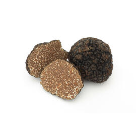 vegetable brush|truffle brush  | bristles made of natural material  L 125 mm product photo  S
