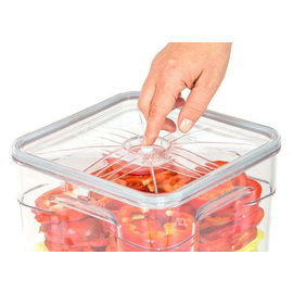 Gastro vacuum lid for gastro vacuum containers product photo
